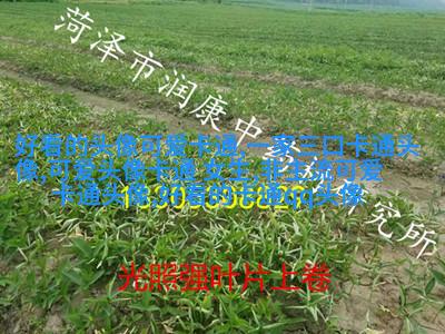 动漫风景图片唯美清新头像(精选24张)